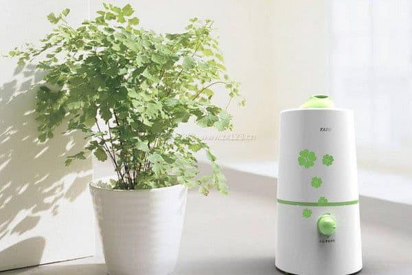 瑞士风加湿器图3