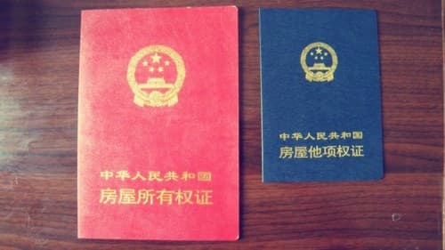 房子做了他项权证还能办理过户吗?