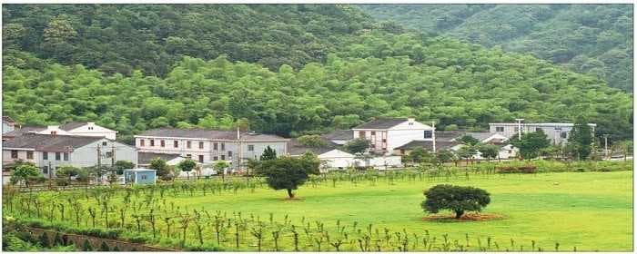 农村宅基地房产纠纷处理原则