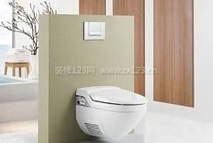 入墙马桶