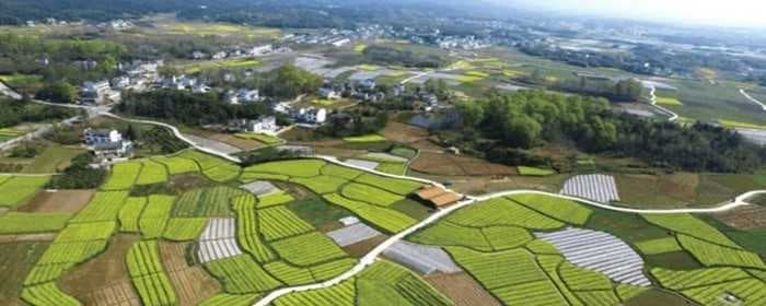 哪些情况下不予办理宅基地使用权登记
