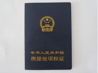 他项权证是什么