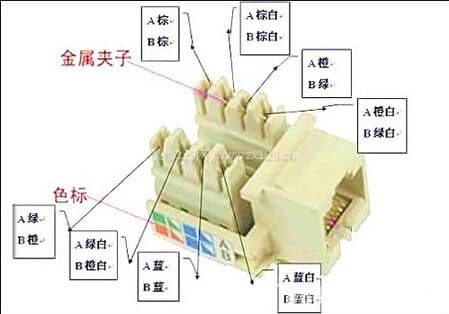 网线插座