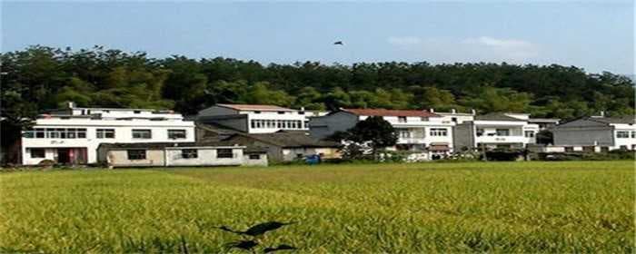 宅基地使用证怎么办理