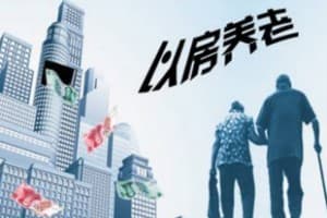 以房养老试点有哪些政策