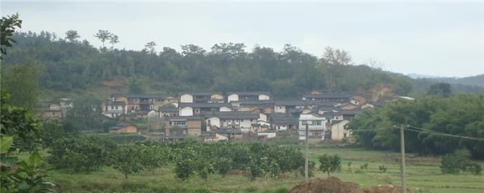 宅基地继承有什么条件