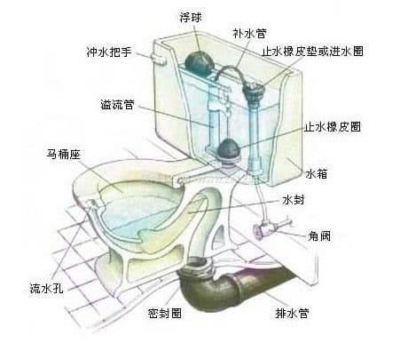 抽水马桶图3
