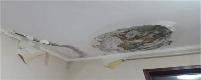 房屋漏水可以找物业吗