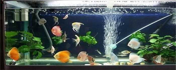 房间湿度多少最合适图1