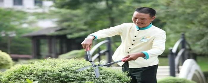 绿地率是什么的重要指标