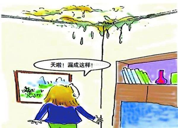 屋顶漏水图3
