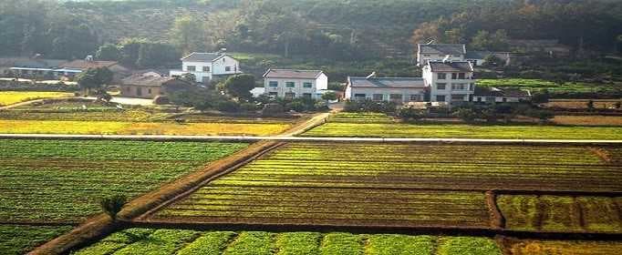 2020年宅基地新政策有什么规定