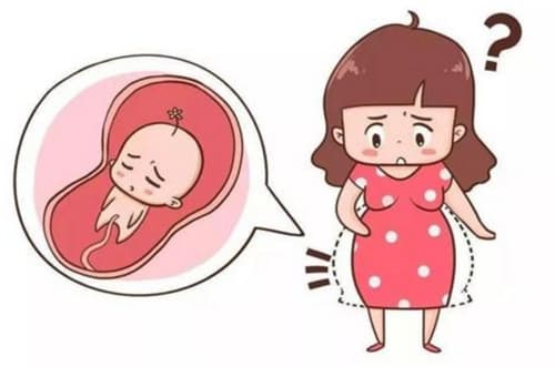 5个月胎儿还会畸形吗