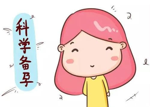 吃什么容易怀孕成功