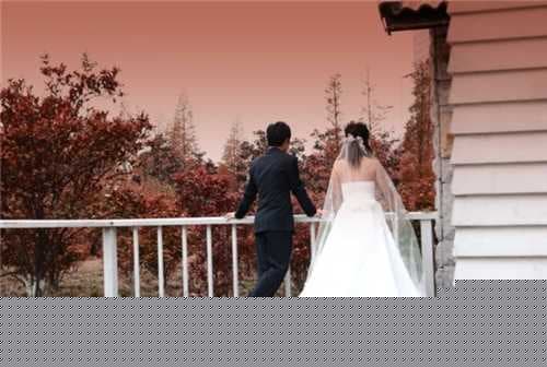 97本命年结婚好吗