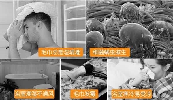 每个她都值得被它宠爱