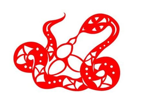 男属龙女属蛇的婚姻好不好