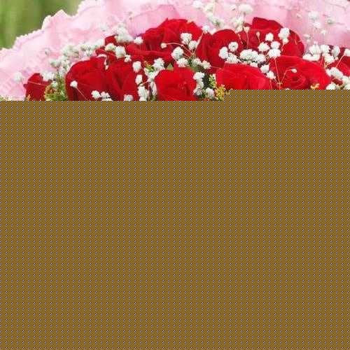 情侣送花送什么花