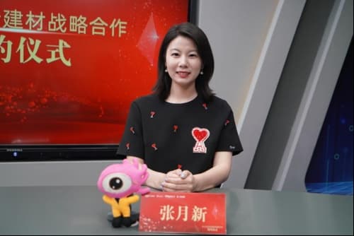 整合发展