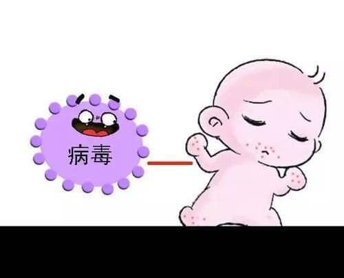 手足口病可以吃什么