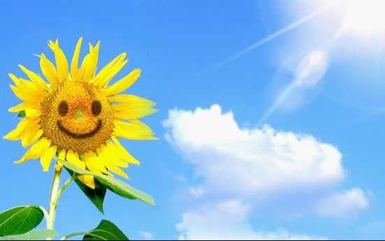 当你孤单你会想起谁