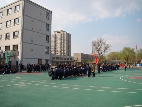 沈阳市相关资讯汇总