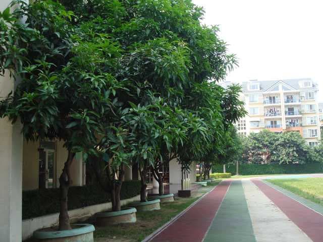 深圳市相关资讯汇总