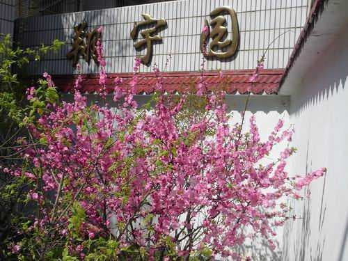 南京市相关资讯汇总
