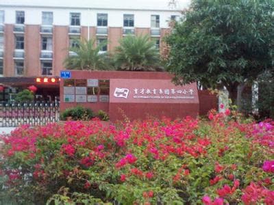 深圳市相关资讯汇总