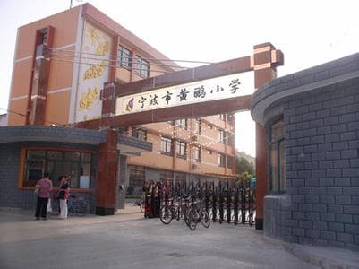 宁波市相关资讯汇总