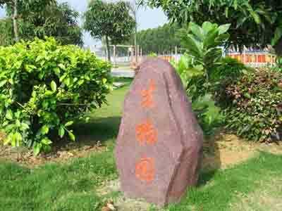深圳市相关资讯汇总