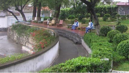 广州市相关资讯汇总