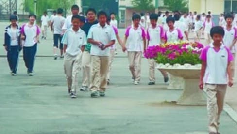 沈阳市相关资讯汇总