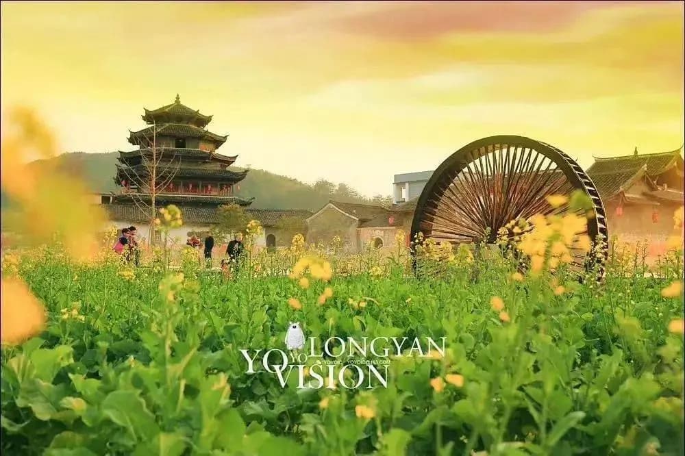龙岩