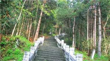 亚公顶森林公园