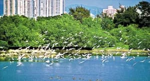 福田生态旅游区