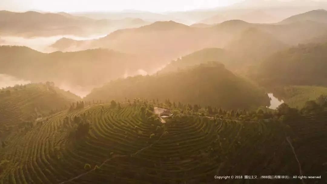 龙岩