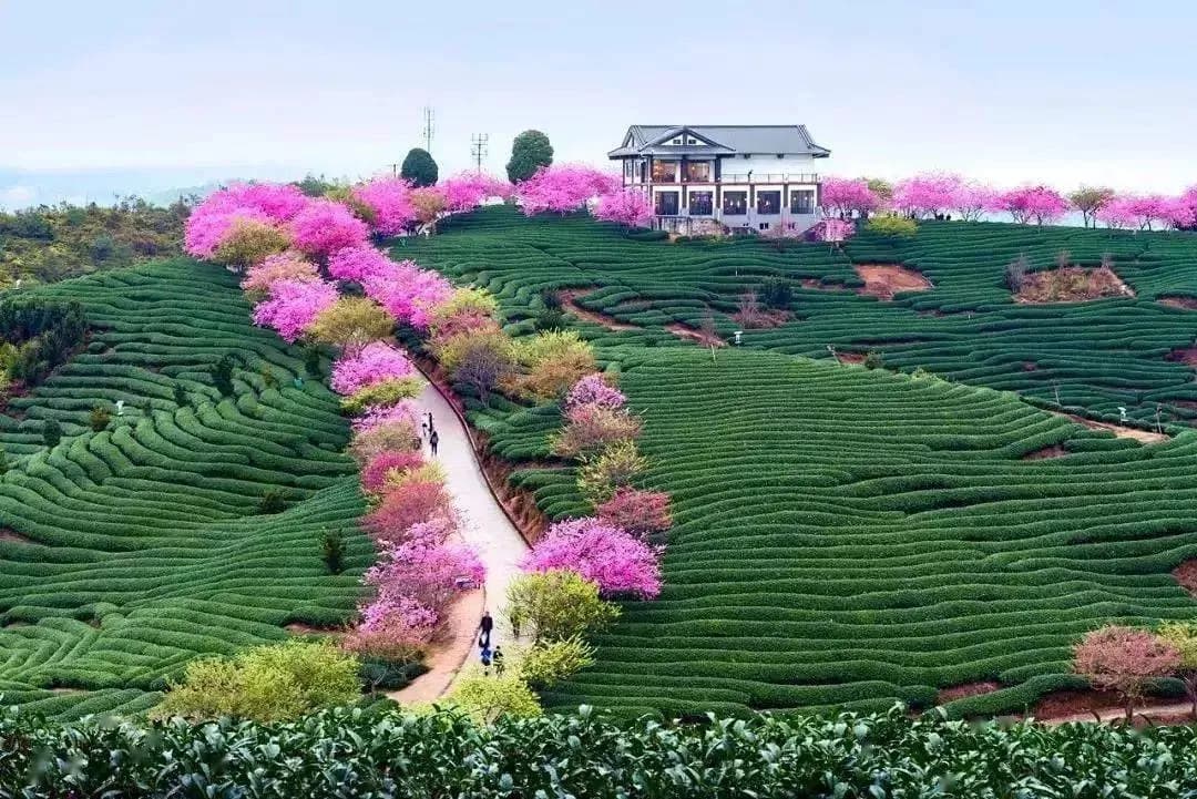 龙岩