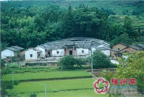 小树庐
