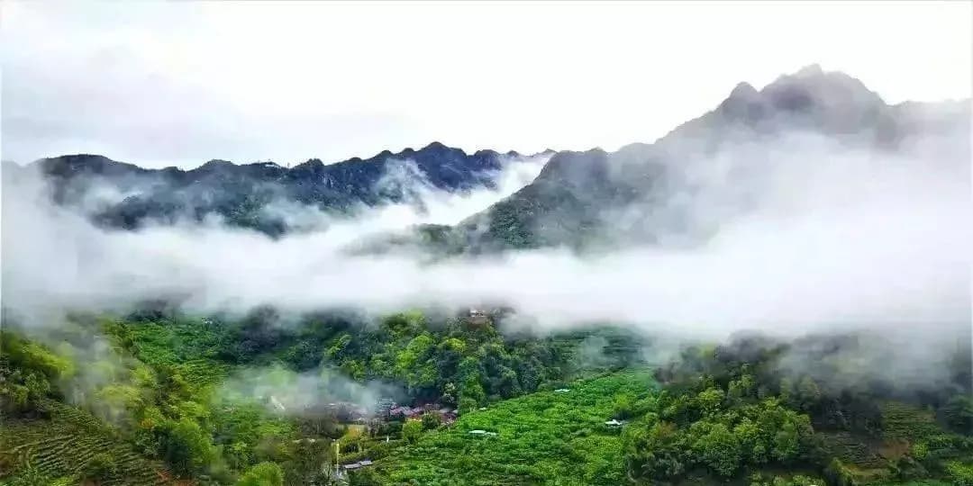 龙岩