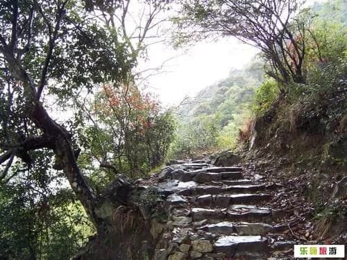 松溪桥与古道
