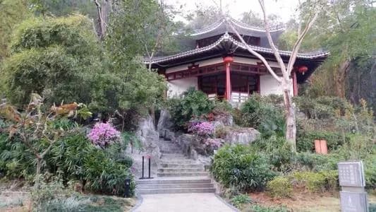 横岭松涛