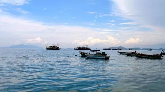 熊猫金海岸