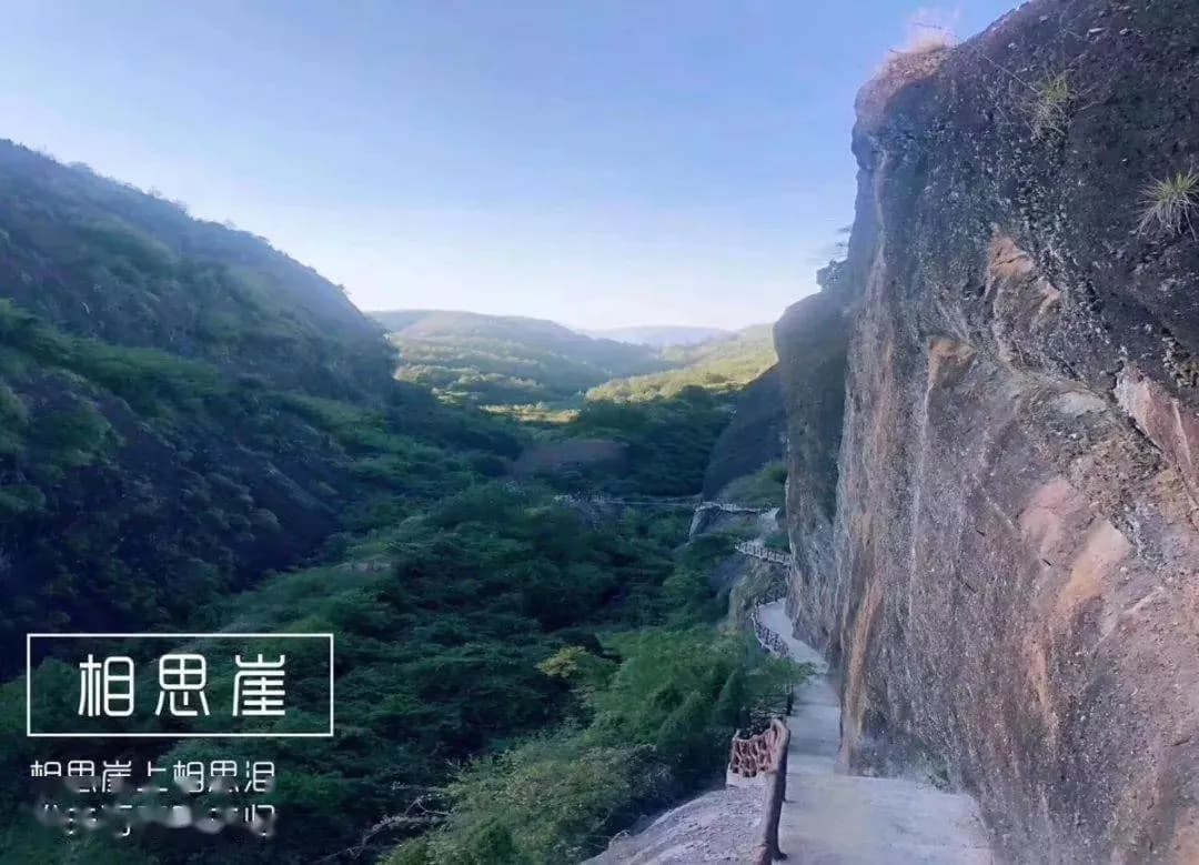 龙岩